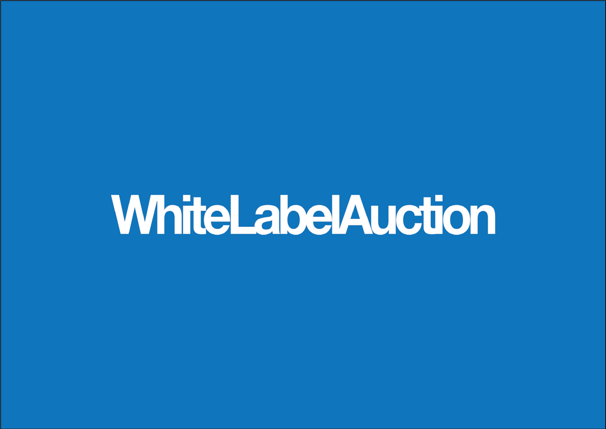 White Label Auction in aid of The BRIT Trust achieves £26,845 hammer price